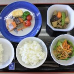 先生がつめたお弁当を食器に移し替えると、一食分の食事ができました